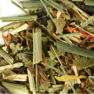 African Summer - Cymbopogon citratus