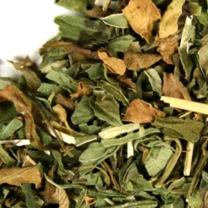 Alfalfa Mint Tea - Medicago sativa