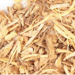 Angelica Root Essential Oil